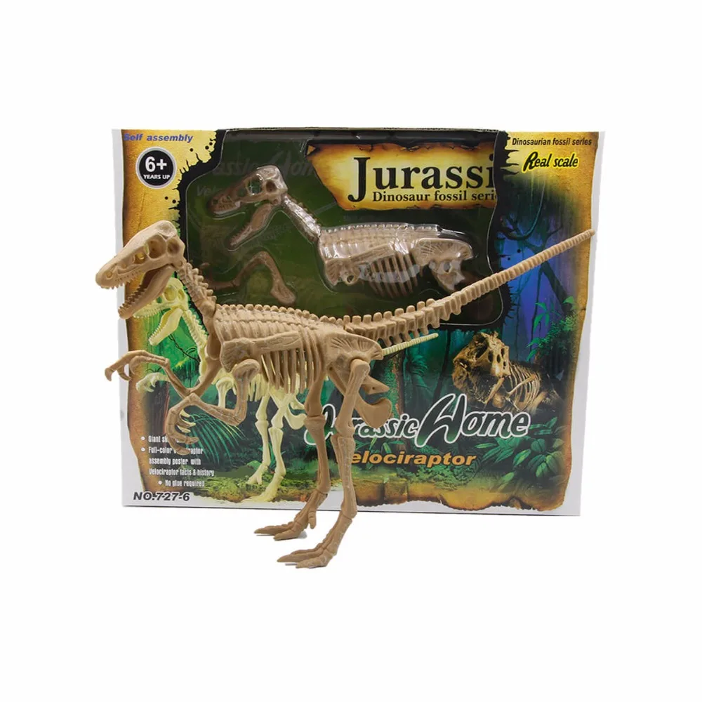 Chinese Manufacturer 3D Dinosaur Skeleton Fossil for Sale