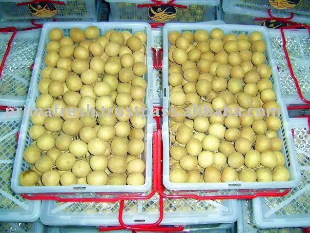 
Свежий лунань 