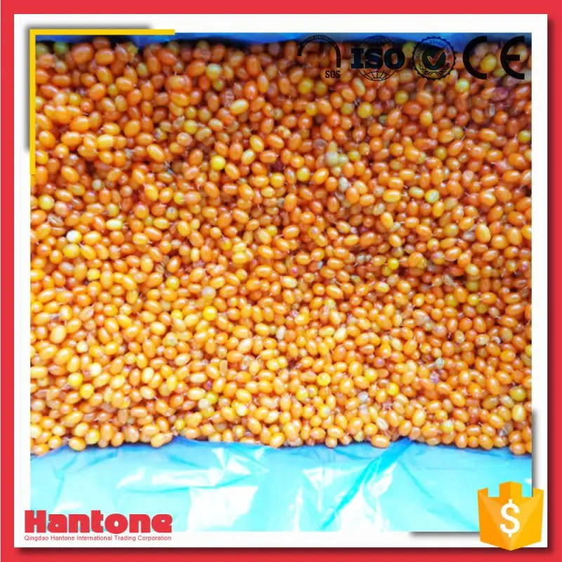 
Frozen Sea Buckthorn Berries Price For Sale 
