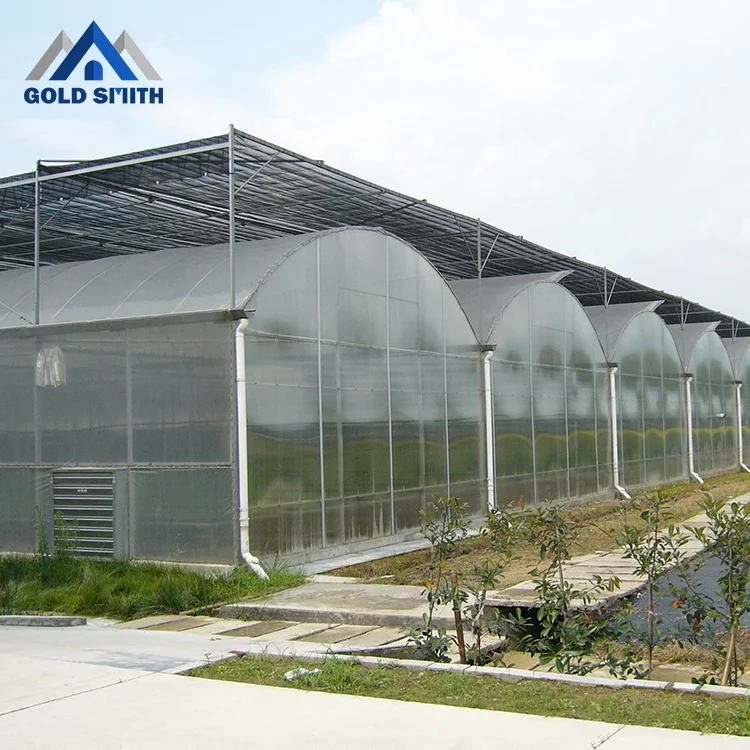 Multi Span Agricultural Film Greenhouse Using Hot Galvanized Steel Structure Frame