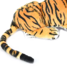 HTB1ae69QVXXXXc5aXXXq6xXFXXXb