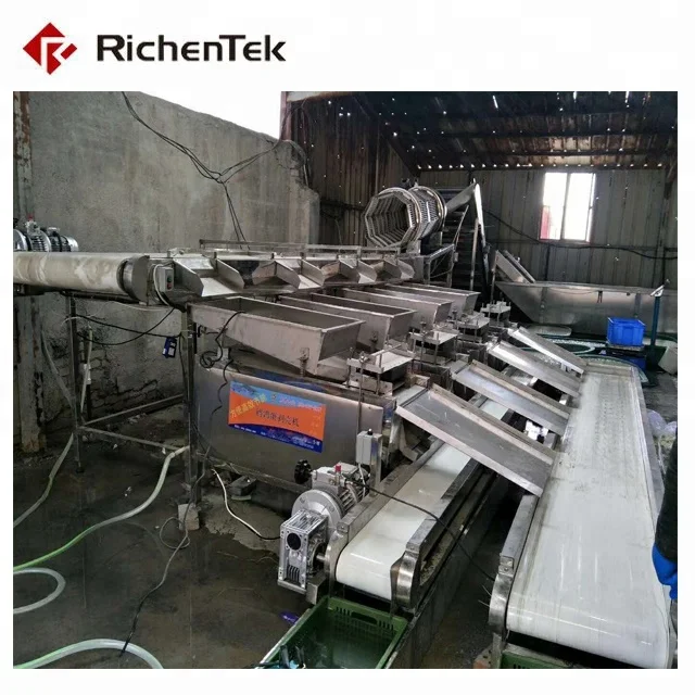 High quality chicken/duck egg washer cleaner and dryer machine for sale