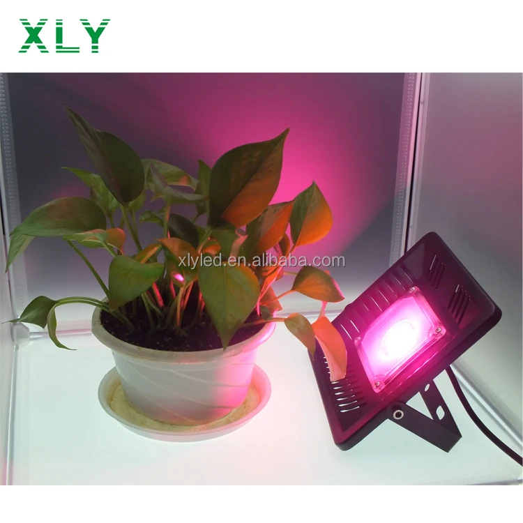 
50W 100W Waterproof IP67 Cheap Price Led Flood Ligths Full Spectrum Plant Lamp COB Led Grow Light For Greenhouse 