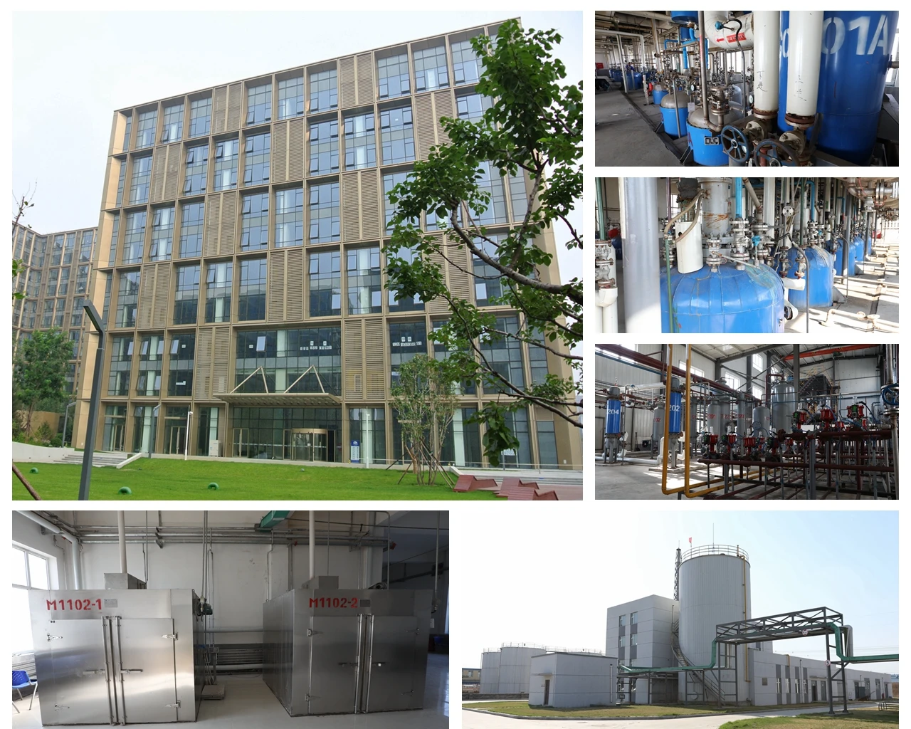 
High Purity Riboflavin-5-phosphate sodium // Riboflavin sodium phosphate // Vitamin B2 130-40-5 