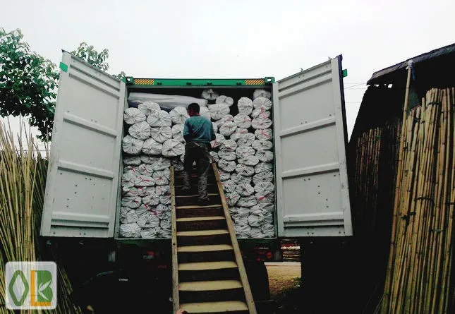 Cheap bamboo canes poles for gardening bamboo poles fruit plant use agricultural farmer