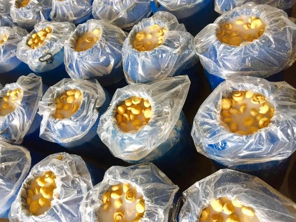 
Wholesale brined mushrooms in drums 