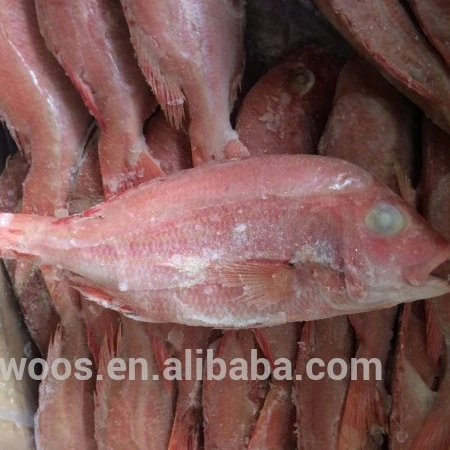 Морепродукты, рыба, замороженная красная ловушка