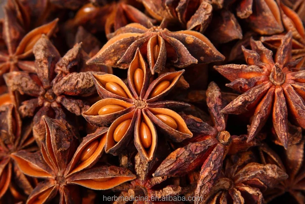 
ANISEED Star Anise seed fruits unselected Fructus Anisi Stellati 