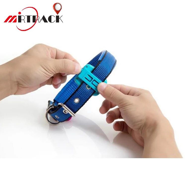 Alibaba оптовая продажа из Китая smart скрытые GPS животных трекер для домашних животных