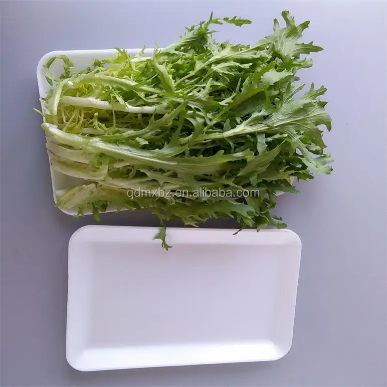 white polystyrene ps foam tray