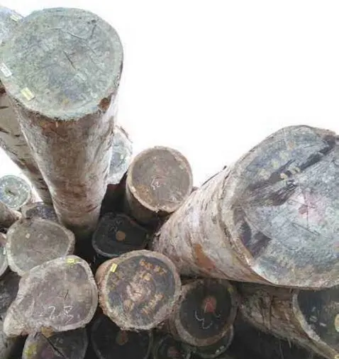 African padouk in stock and is very good quality and beautiful grain /dark hardwood on sale