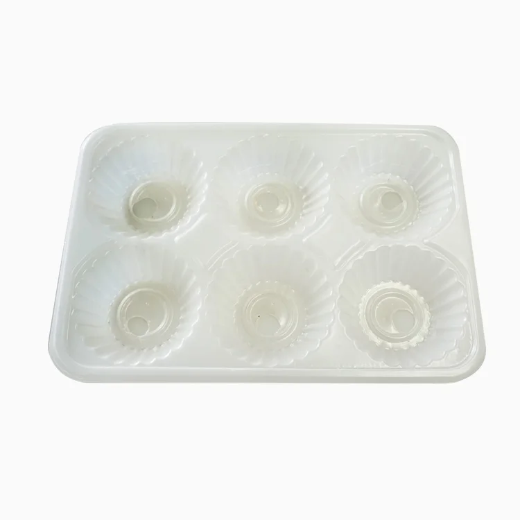 blister 6 pcs PP Various packaging /clear plastic disposable frozen food dumpling  tray