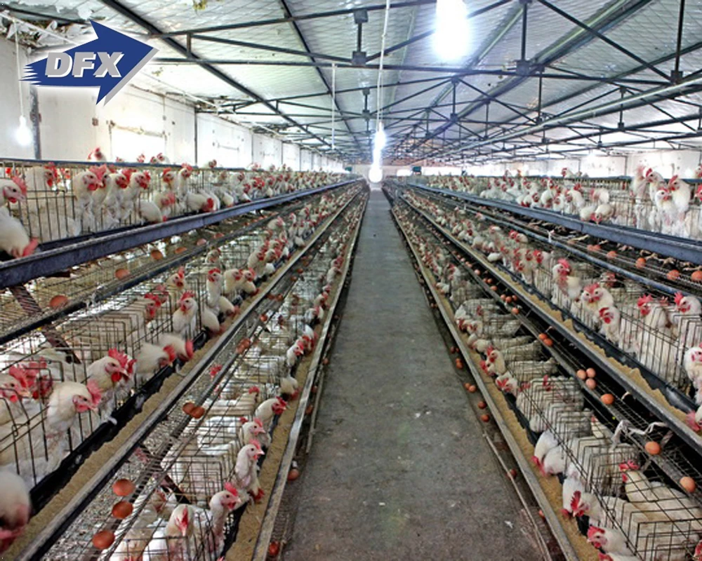 Layer Egg Chicken Cage/Broiler Poultry Farm House Design For Chicken Farm Construction In Malaysia