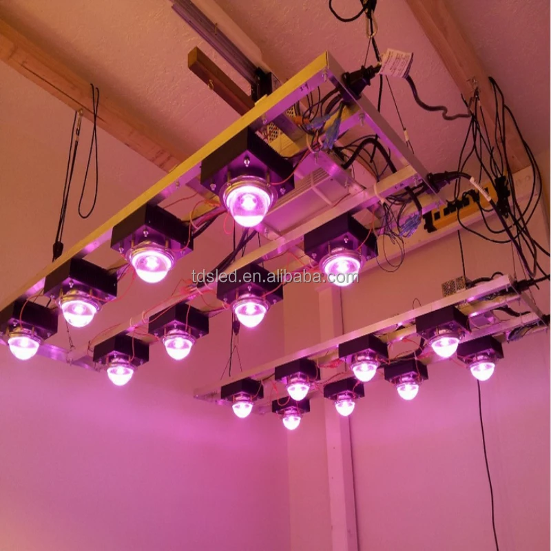 100W 650nm - 660nm - 670nm Red LED array for growing light