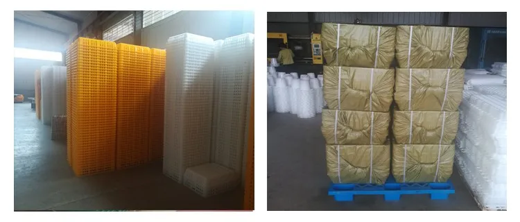 1 transport cage plastic slatted floor