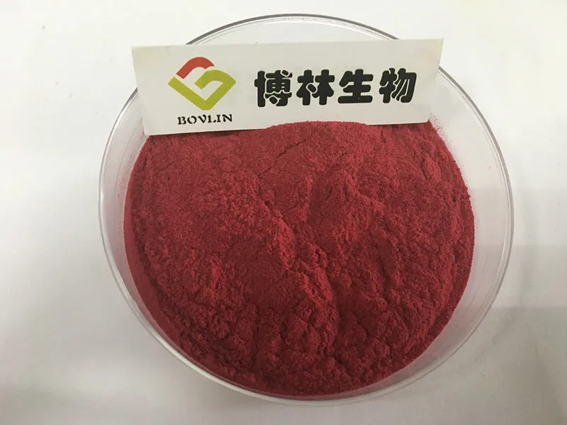 
Natural Organic Red Wine Extract Powder Polyphenols with Wholesale Price 