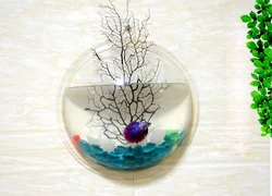 Современный индивидуальный Настенный Прозрачный Круглый акриловый аквариум