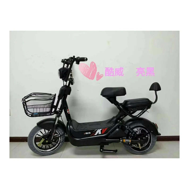 China factory electric bicycle in bangladesh