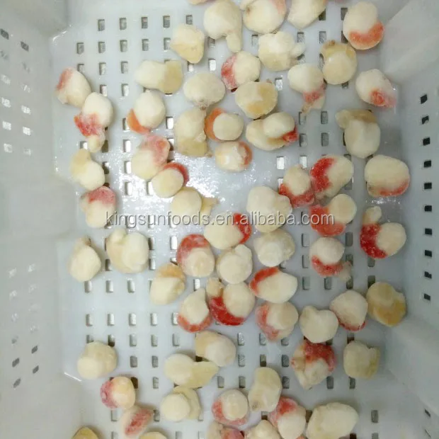 6-8cm Half Shell FARRERI SCALLOP with Roe