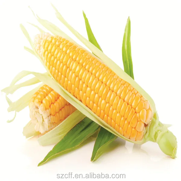 Concentrate Sweet Corn Flavour For Canned Corn Flavoring