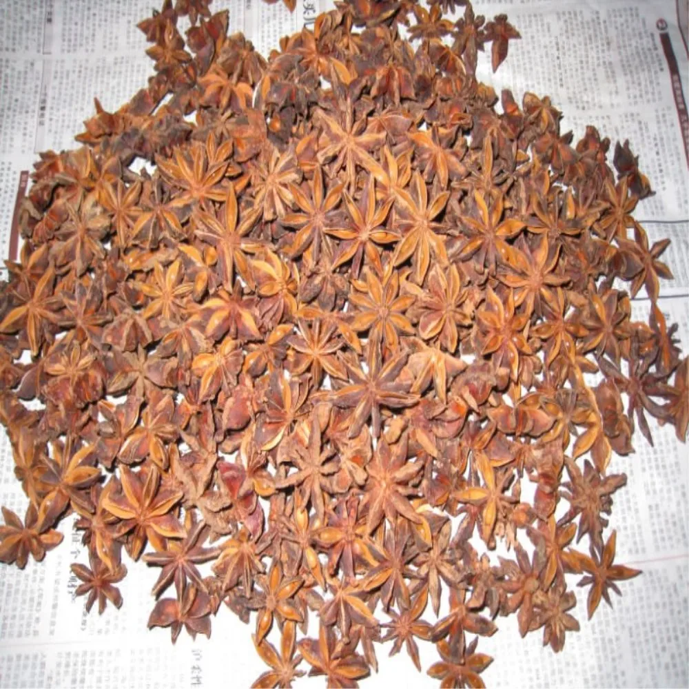 Красная звезда aniseeds