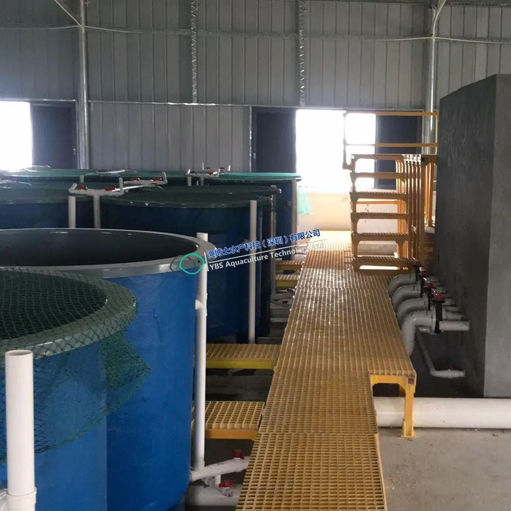 Water treatment systems for offshore aquaculture and land-based facilities feeding fresh perch