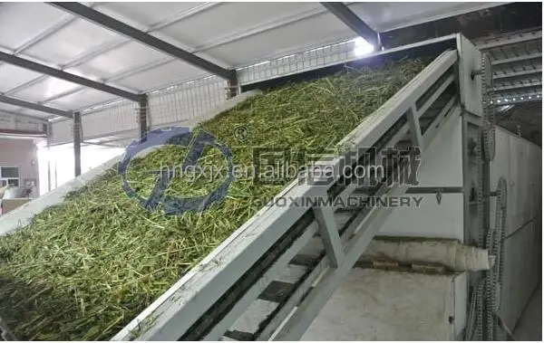 
Manufacturers of multilayer belt type hot air dryer/ Parsley 