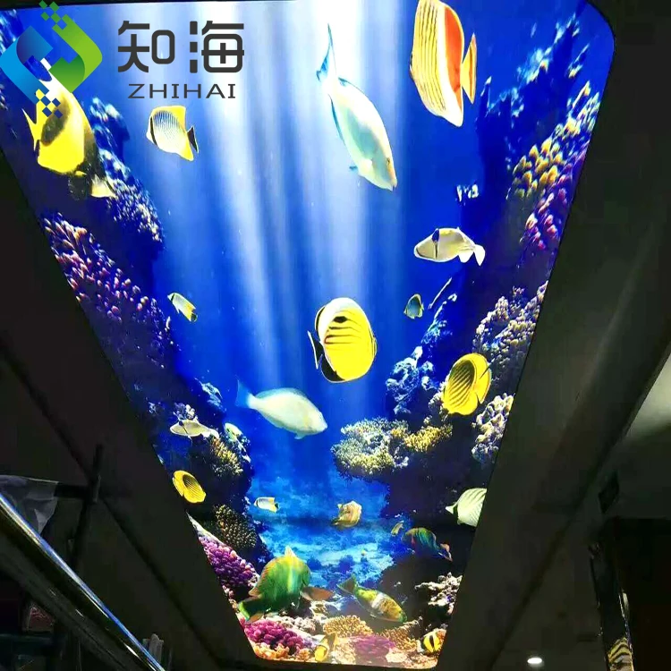 ZHIHAI hall ceiling decor decorative roll stretch ceiling