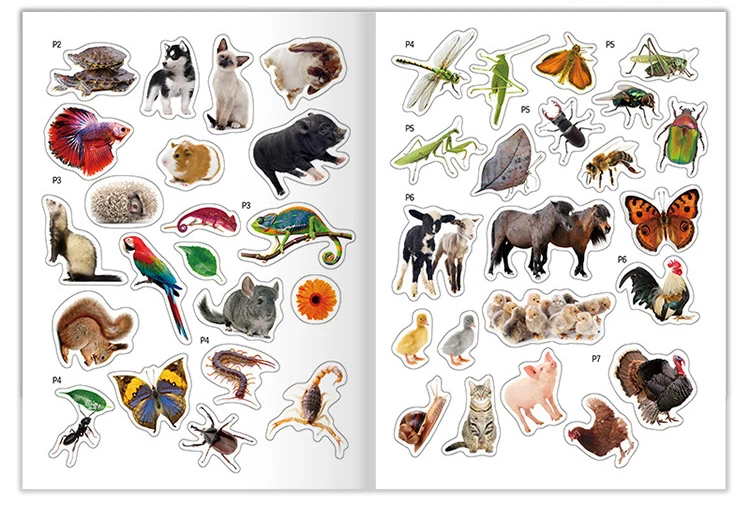 Custom Paper Children Baby Black And White Coloring Toddler Story Book Crayon Spanish Kids Books