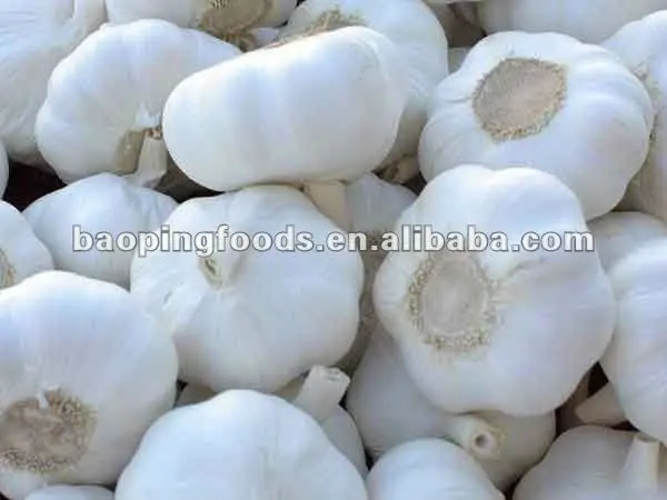 
Fresh White Garlic for Sale 