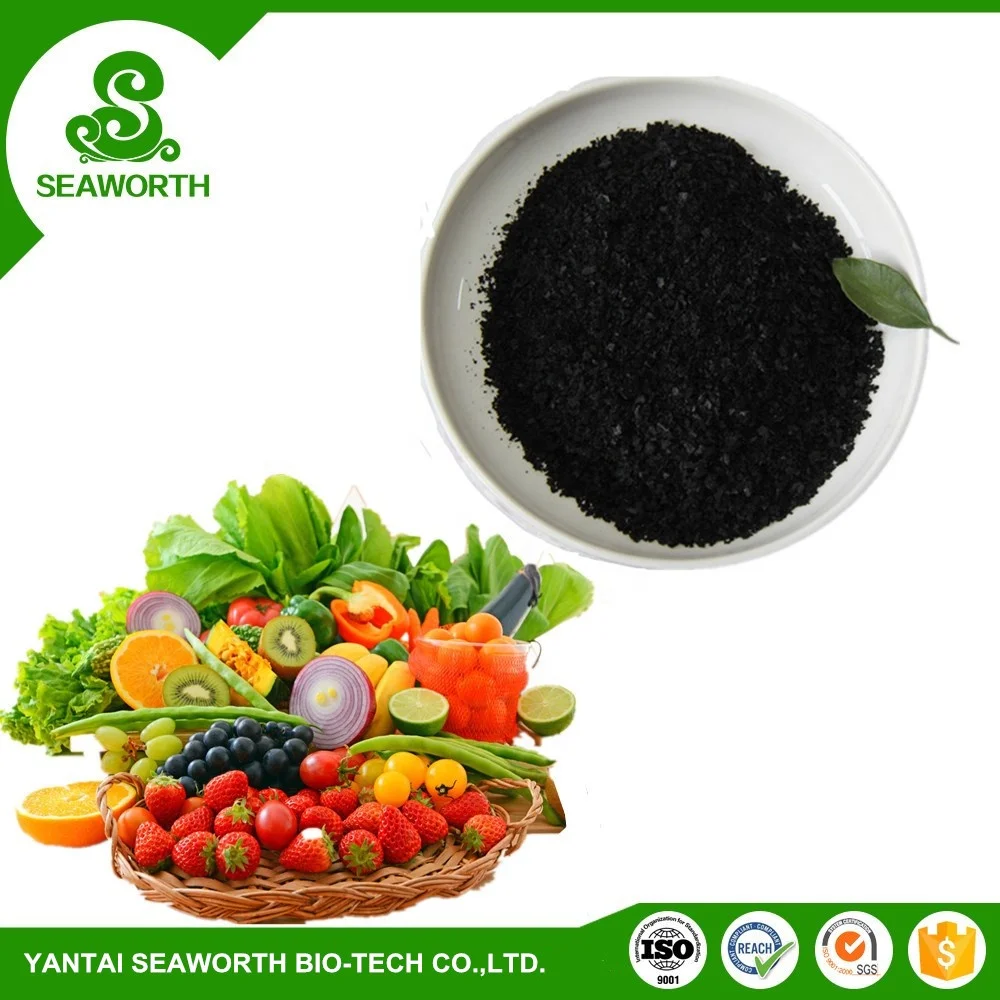Super quality wholesale organic kelp fertilizer factory price