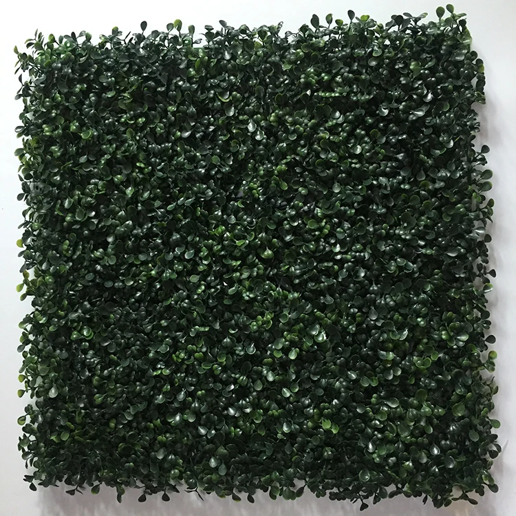 High quality UV resistance 50*50cm green artificial plant wall boxwood hedge for green outdoor wall