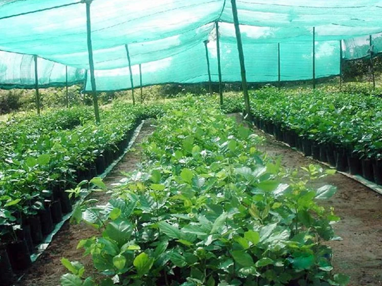Weed Barrier Waterproof Shade Sail Used Fishing Nets machine For Sale