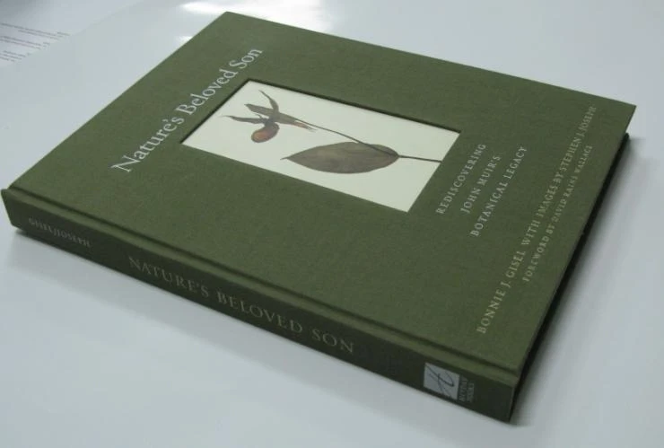 Custom Top Quality Hot Sale Holy Bible Teaching Book Printing