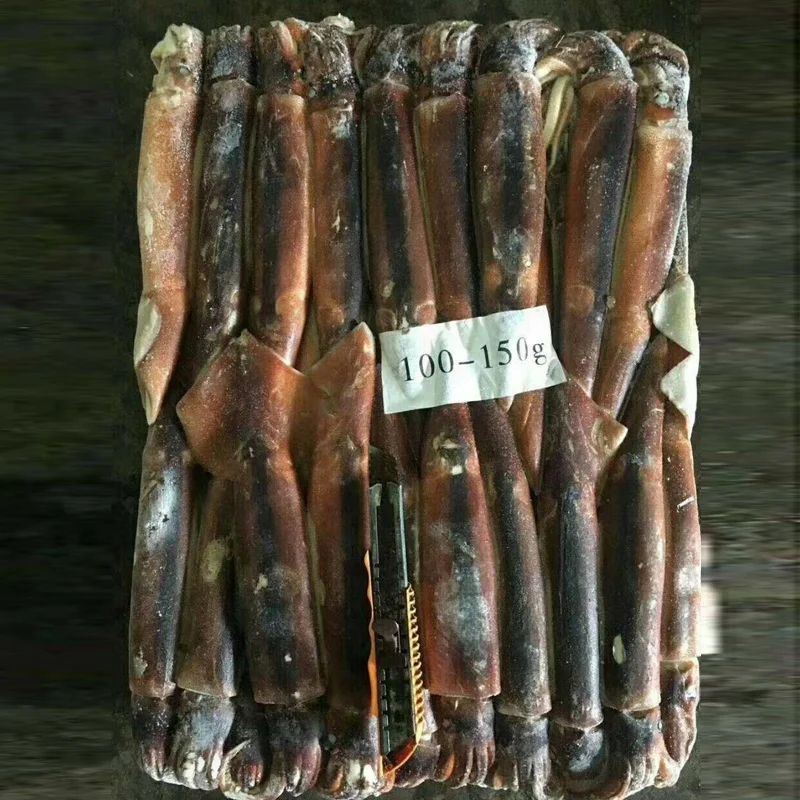 
Frozen Good Taste W/R Illex Squid argentina illex squid100-150,150-200,200-300,300-400,400-600 