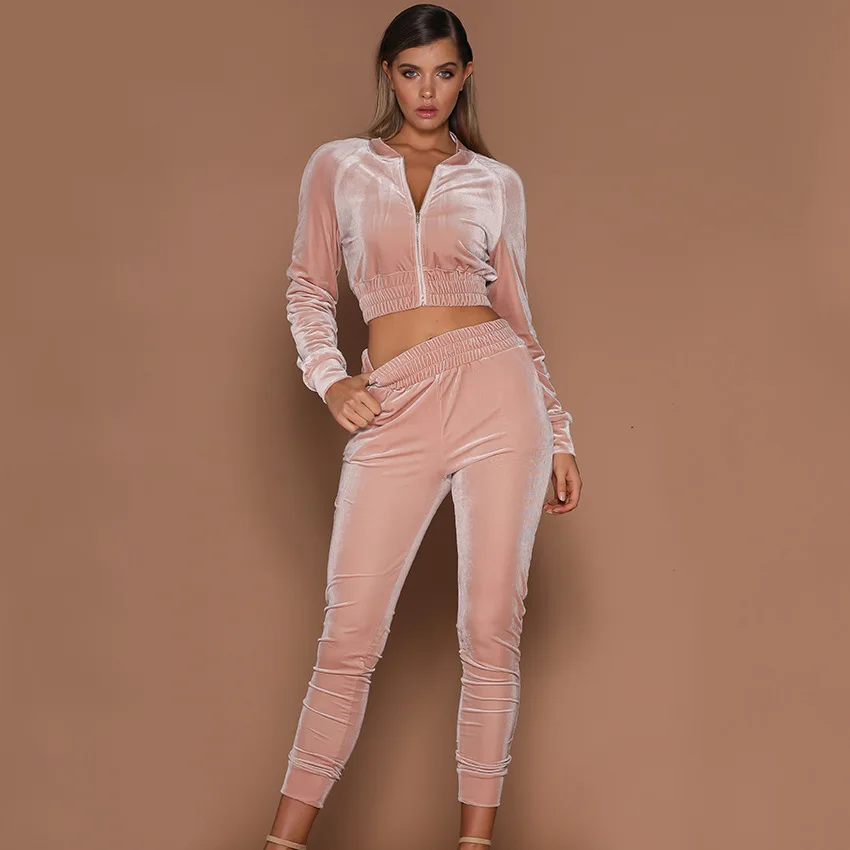 Wholesale Custom Womens velvet 2 pieces set cropped pants set Latest Sport Plain women pink Velour Tracksuit
