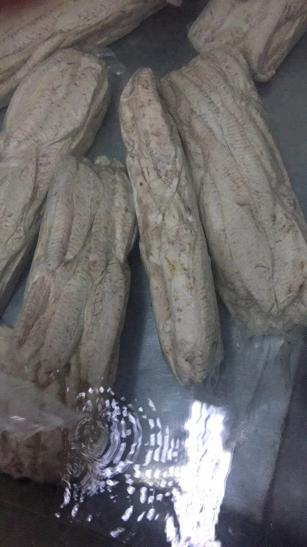 Precooked Auxis Thazard frozen Bonito Tuna Loins and Flakes