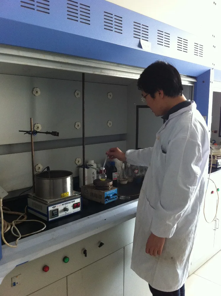 
cas 302962-49-8 Dasatinib 98% 