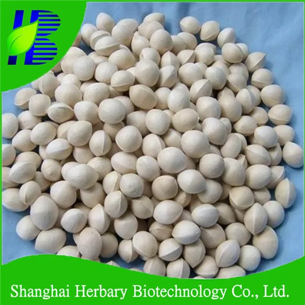 Высокопрорастающие семена гинкго билоба, семена гинкго билоба для выращивания