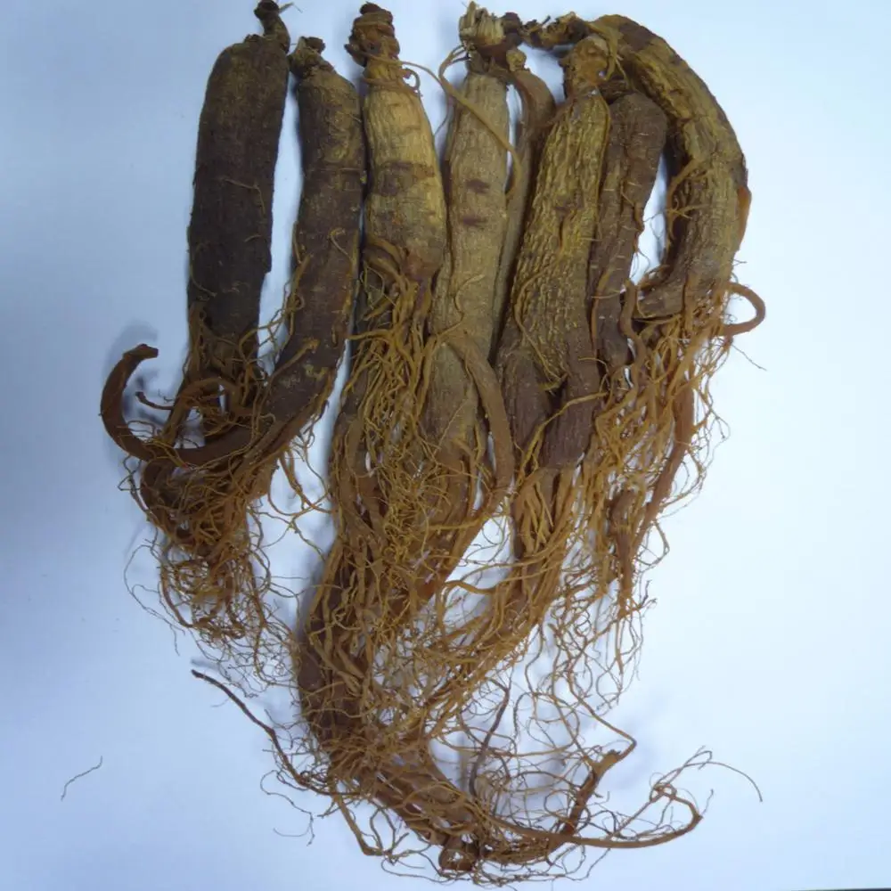 
2020 china red ginseng changbai ginseng 
