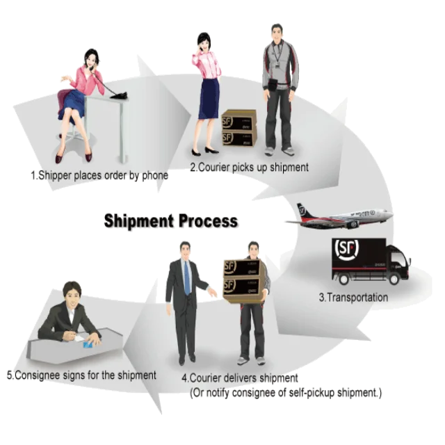 freight forwarder agent offers cheap sea freight rates from China to Argentina  shipping company