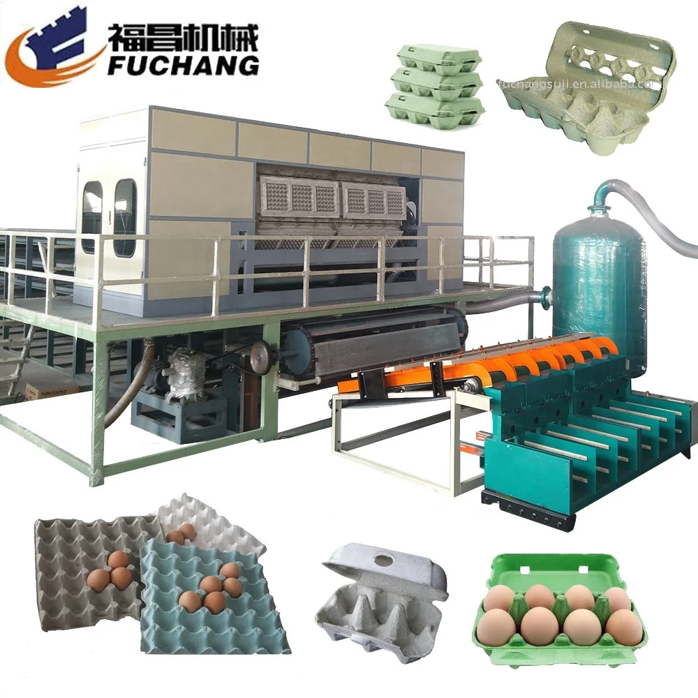 Biodegradalbe Paper Egg Crate Making Machine For Egg Trays / Egg Cartons / Egg Box