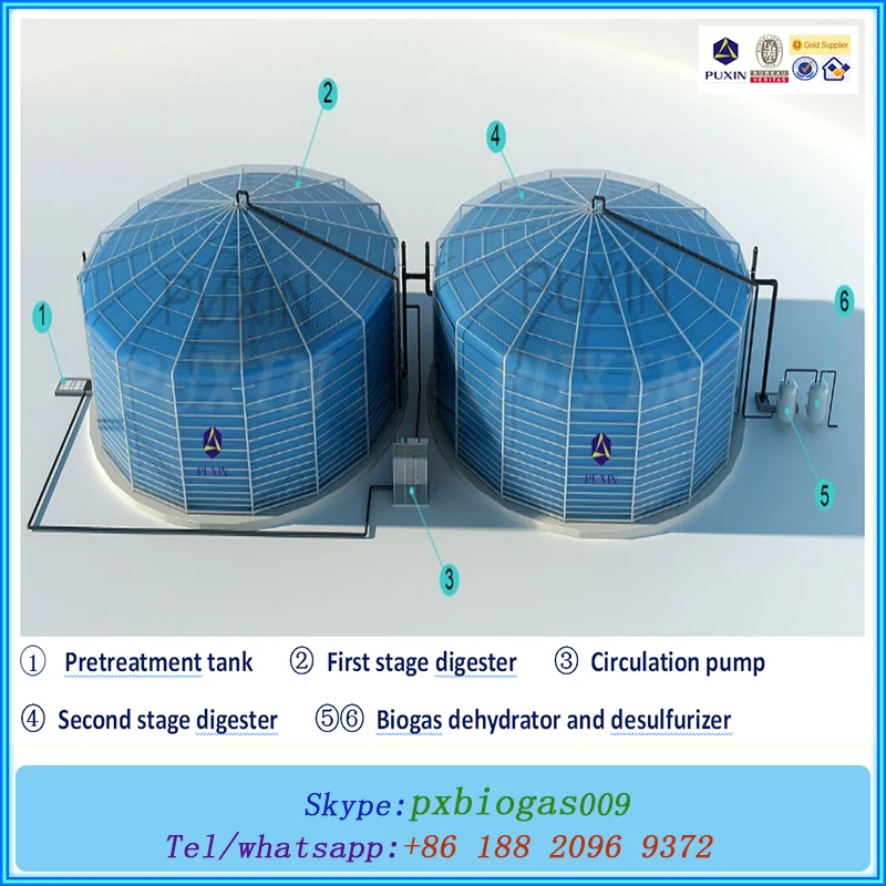 Собранный пвх большой биогазовых электростанций для приготовления пищи и электричество