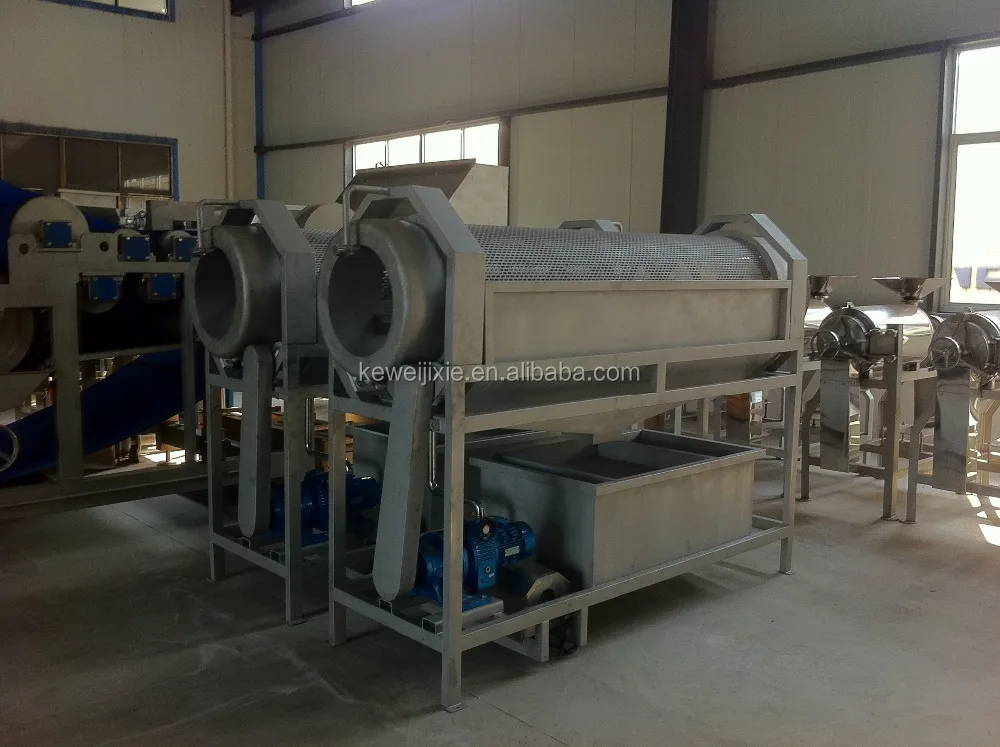 prickly pear washing machine/fruit cleaning machine