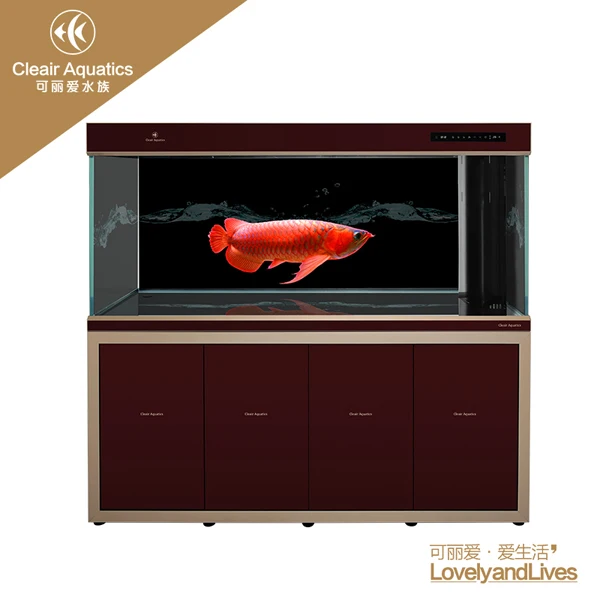 
Cleair Aquatics Arowana Aquarium 