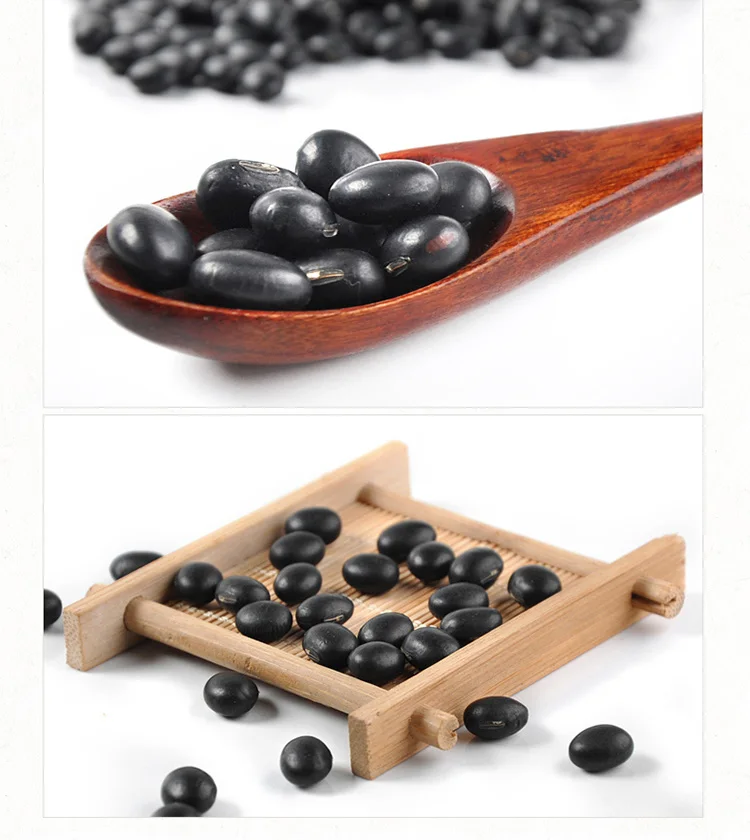 High quality soybean dry bean black bean with green kernel