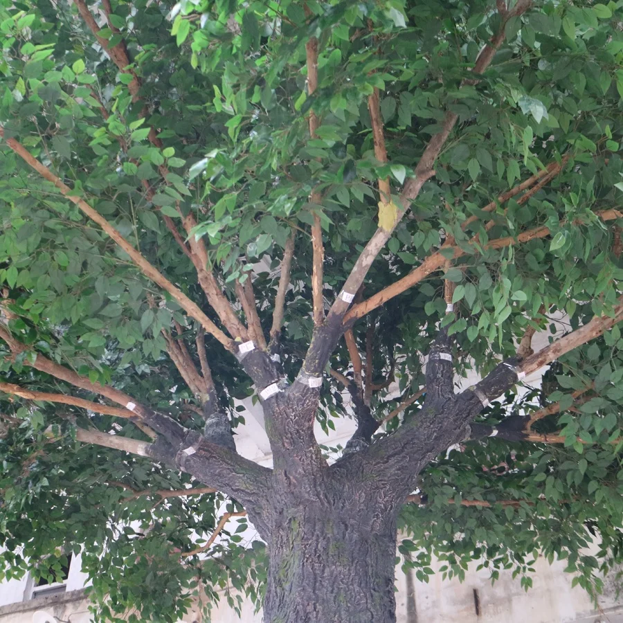 Custom size and shape artificial green banyan tree ficus tree for  landscape decoration