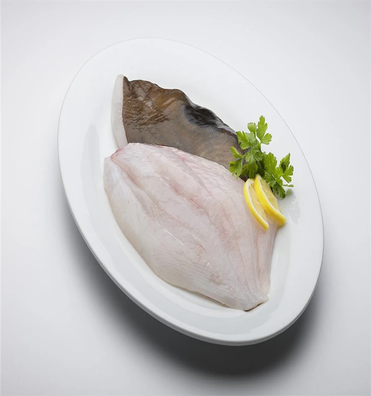 
Fresh frozen John dory fish fillet 