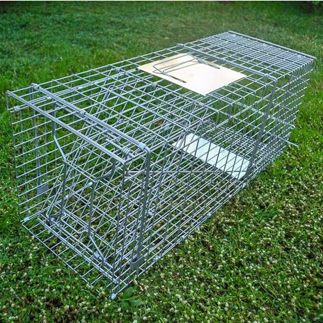 Collapsible One-door Live Animal Cage Trap For Raccoon Stray Cat Groundhog Opossum Armadillos