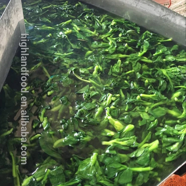 Air Dried Dehydrated Chinese Cabbage bok choy/Green Vegetable